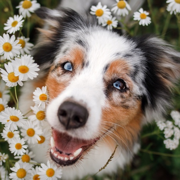 Meet your Posher, Andrea - Picture 1 of 1